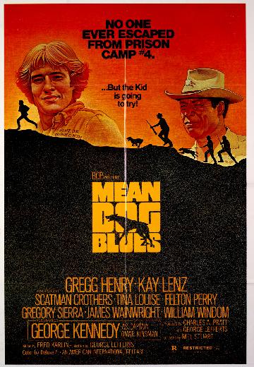 Mean Dog Blues poster