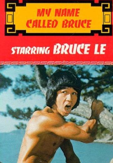 My Name Called Bruce poster