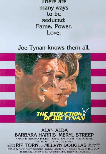 The Seduction of Joe Tynan poster