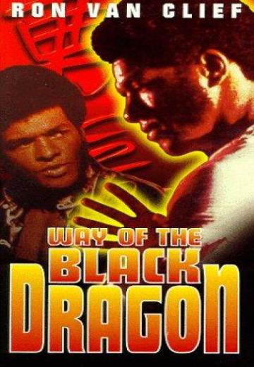 Way of the Black Dragon poster