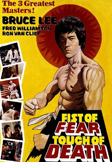 Fist of Fear, Touch of Death poster