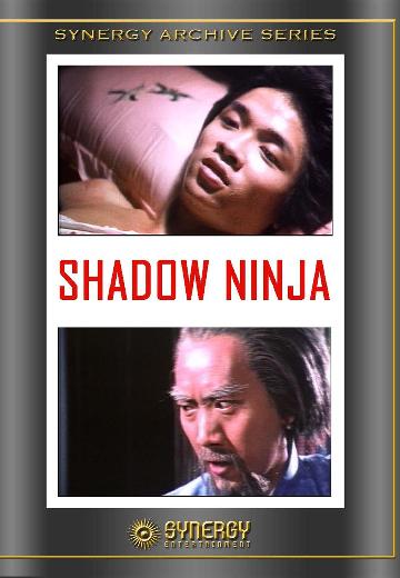 Shadow Ninja poster