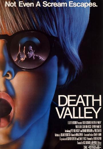 Death Valley poster