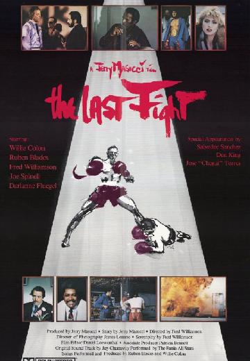 The Last Ninja poster