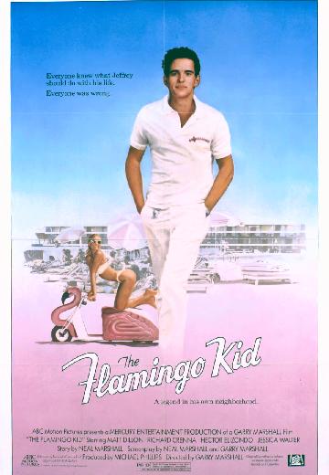 The Flamingo Kid poster