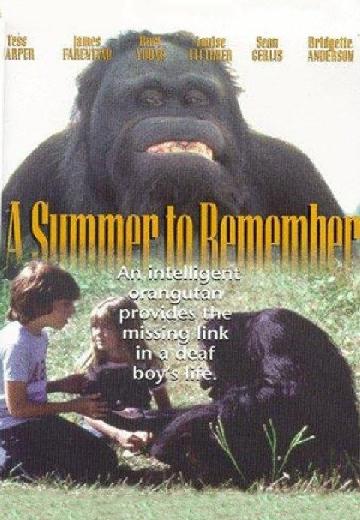 A Summer to Remember poster