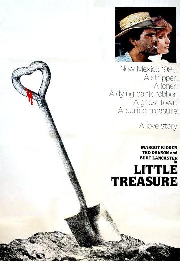 Little Treasure poster