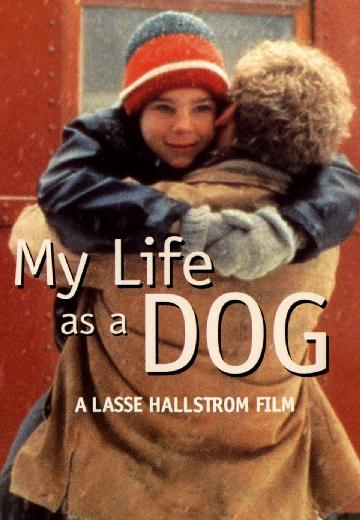 My Life as a Dog poster
