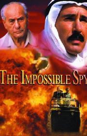 The Impossible Spy poster