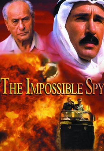 The Impossible Spy poster
