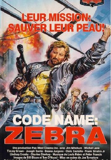 Code Name: Zebra poster