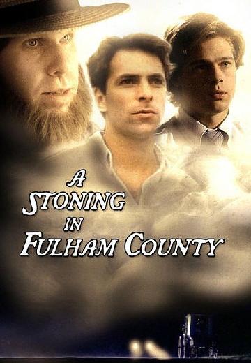 A Stoning in Fulham County poster