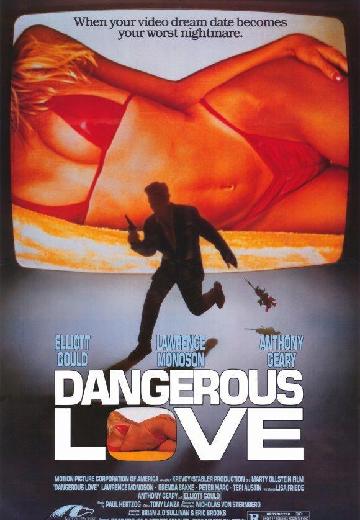 Dangerous Love poster