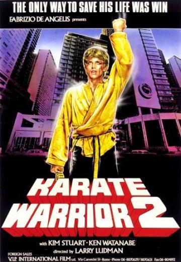 Karate Warrior II poster