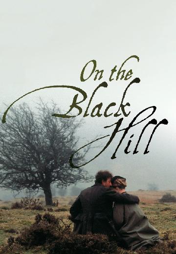 On the Black Hill poster