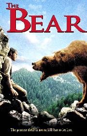 The Bear poster