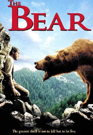 The Bear poster