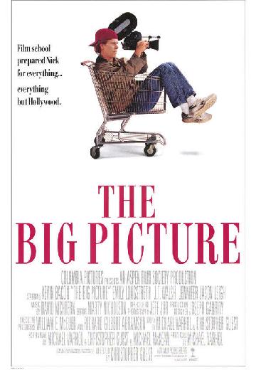 The Big Picture poster