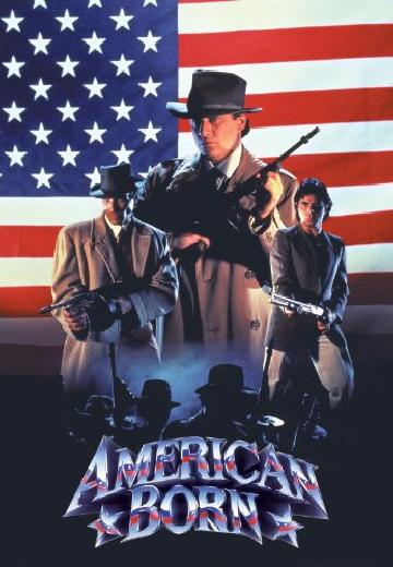 American Born poster