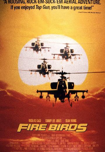Fire Birds poster