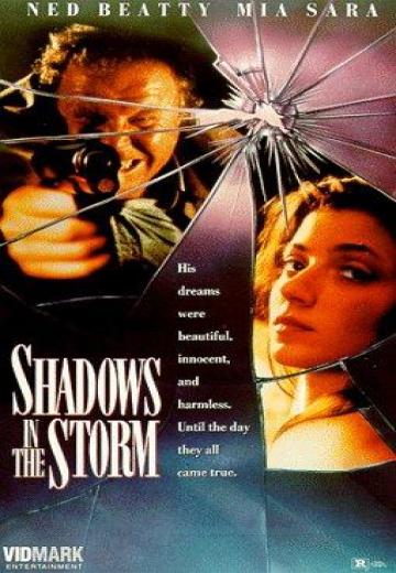 Shadows in the Storm poster