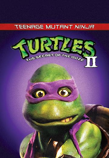 Teenage Mutant Ninja Turtles II: The Secret of the Ooze poster