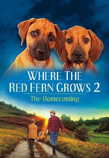 Where the Red Fern Grows, Part II poster