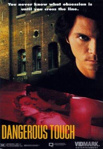 Dangerous Touch poster