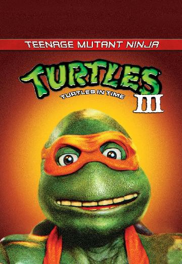 Teenage Mutant Ninja Turtles III poster