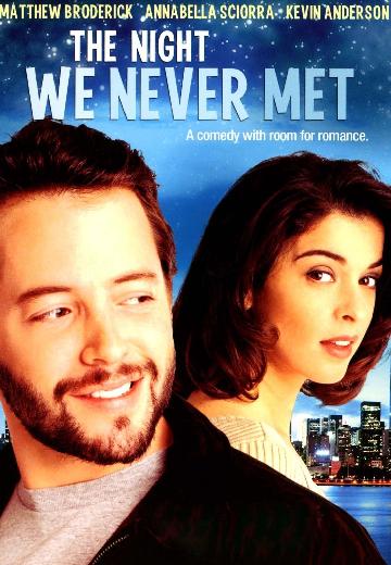 The Night We Never Met poster