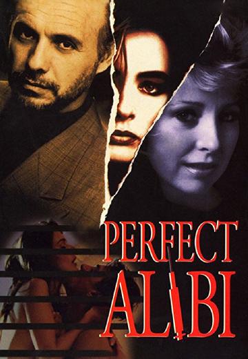 Perfect Alibi poster
