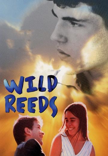 Wild Reeds poster