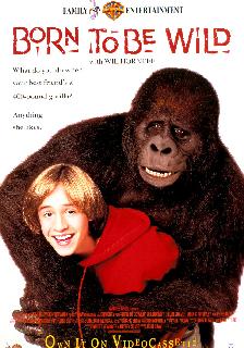 Born to Be Wild poster