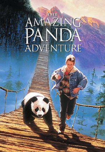 The Amazing Panda Adventure poster