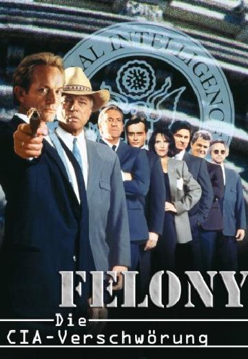 Felony poster