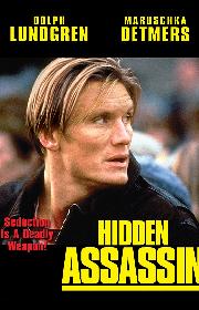 Hidden Assassin poster