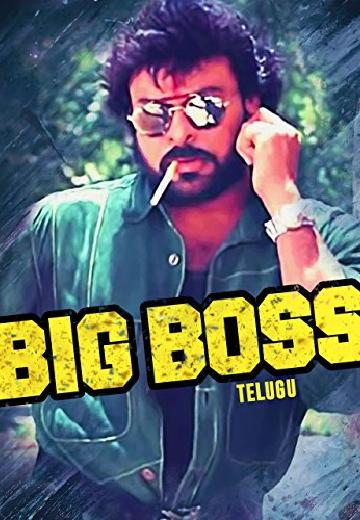 Big Boss poster