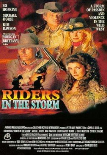 Riders in the Storm poster