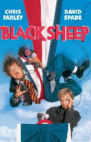 Black Sheep poster