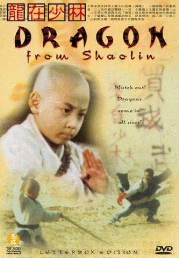 Dragon from Shaolin poster
