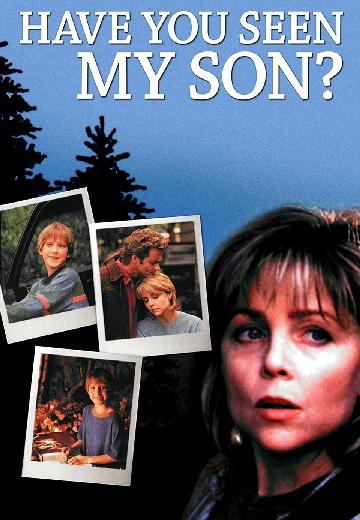 Have You Seen My Son? poster