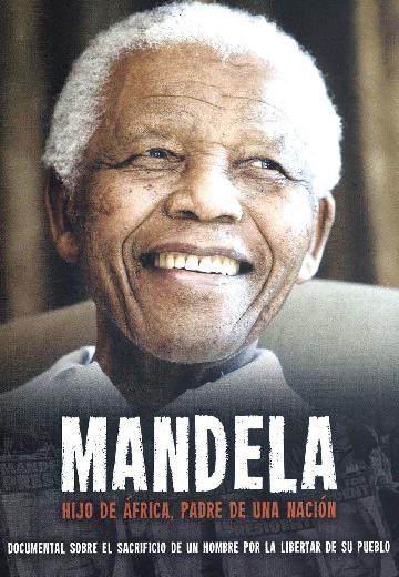 Mandela poster