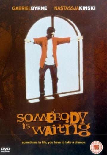 Somebody Is Waiting poster