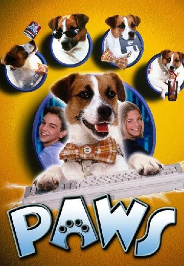 Paws poster