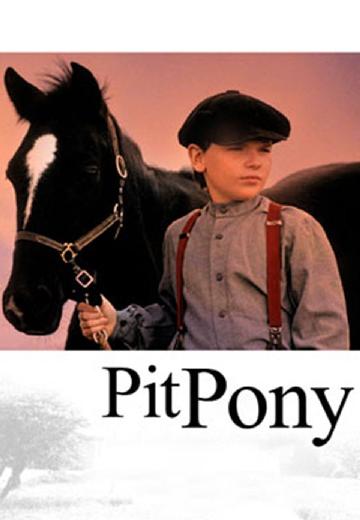 Pit Pony poster