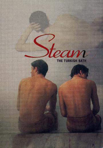 Steam: The Turkish Bath poster