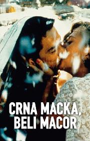 Crna macka, beli macor poster