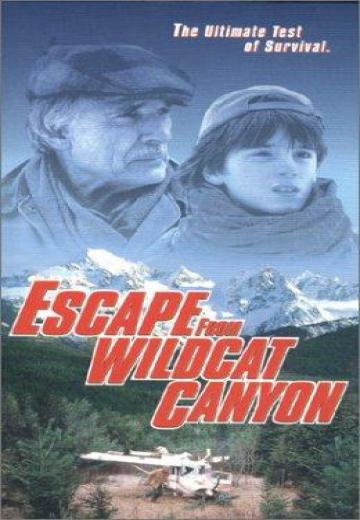 Escape From Wildcat Canyon poster