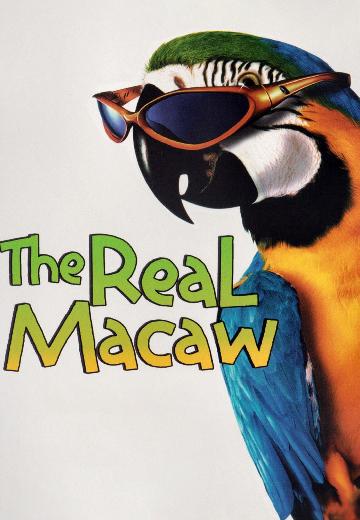 The Real Macaw poster