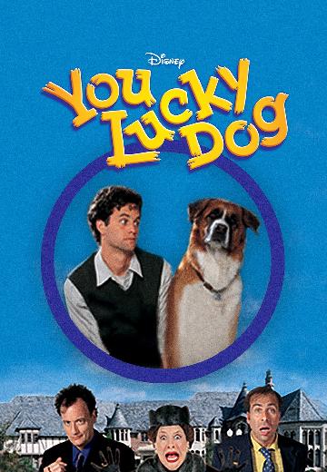 You Lucky Dog poster